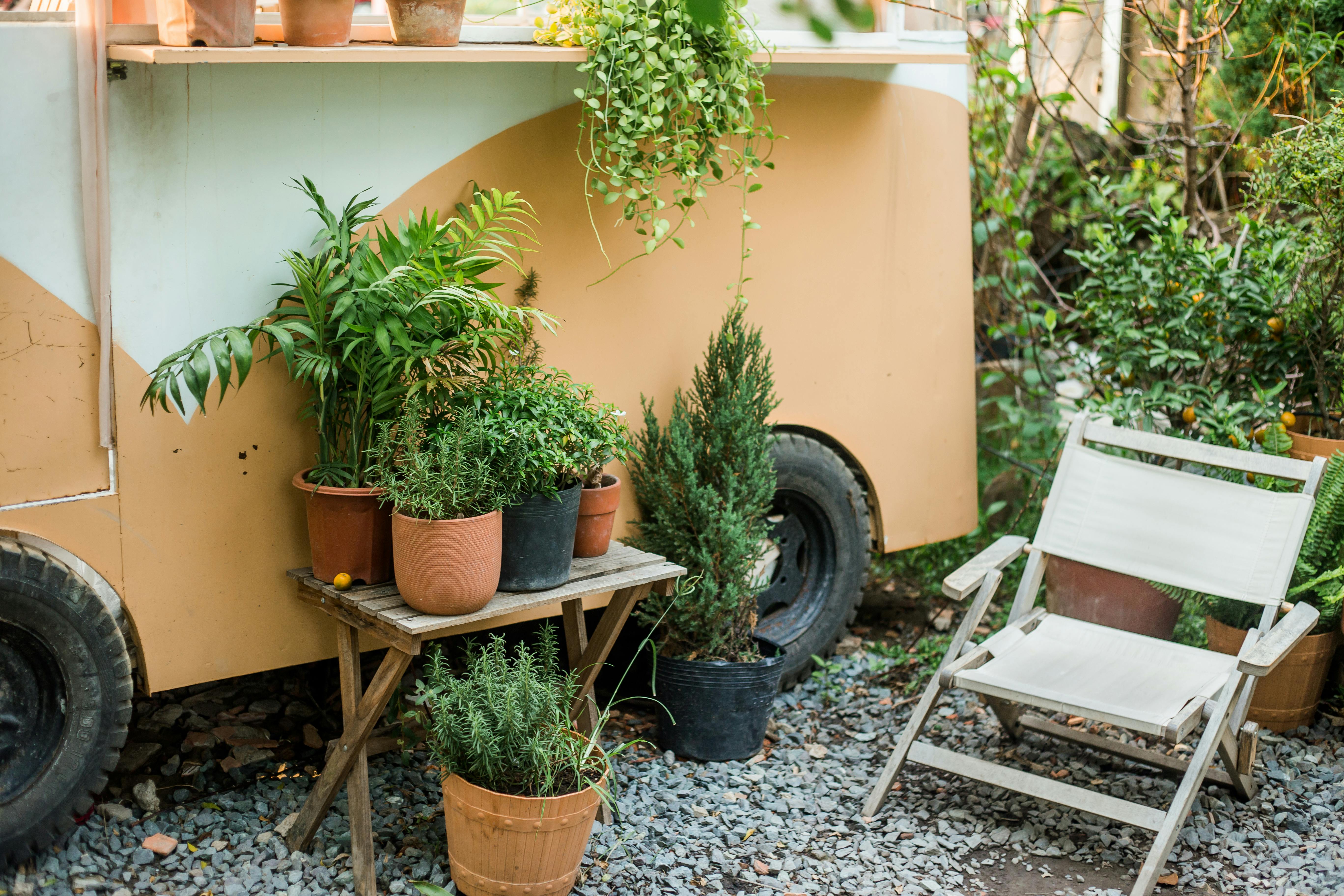 Potted plants on a small wooden table in front of a beige trailer with a white chair nearby.